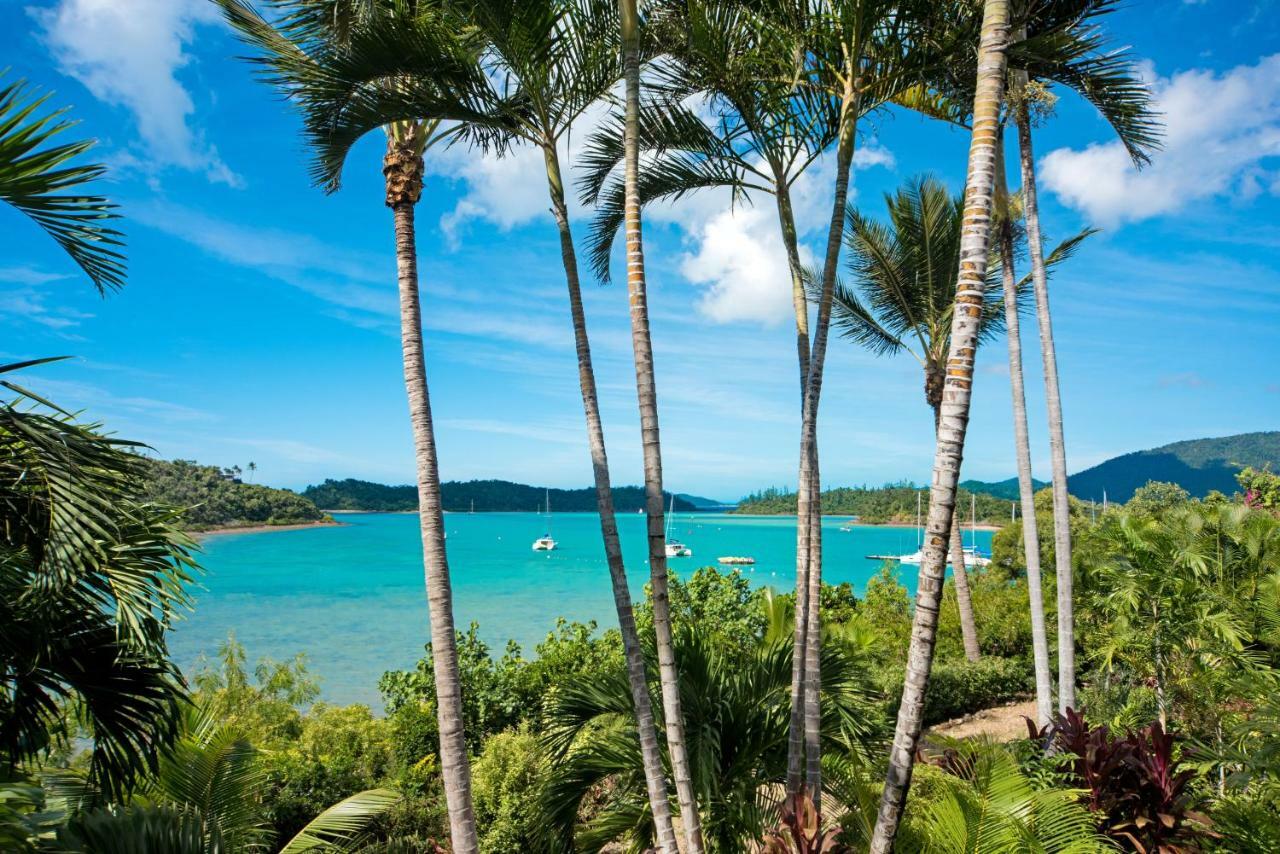 Baybliss Apartments Studio 1 Shute Harbour Exterior photo